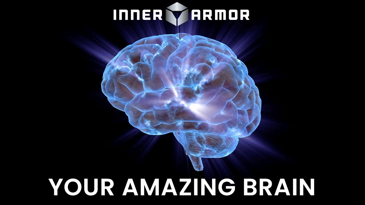 Your Amazing Brain
