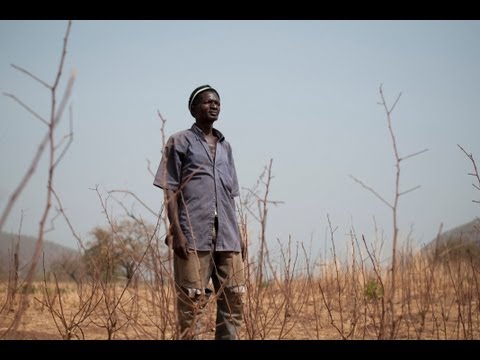 Food Crisis in West Africa