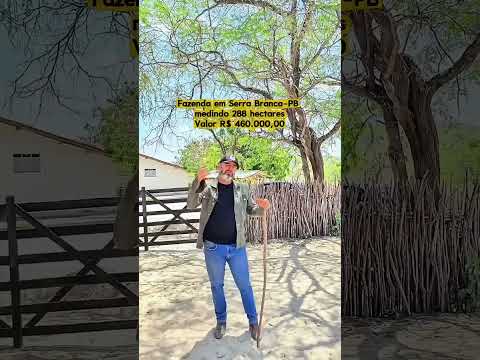 🌾 FAZENDA MOURARIA – SOLO MINERALIZADO E GRANDE POTENCIAL PRODUTIVO NO CARIRI PARAIBANO 🌾