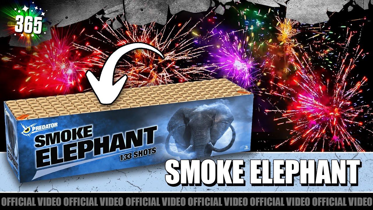 Video Smoke Elephant