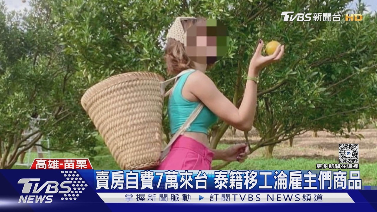 影音/日操16小時!時薪不到百元 警破血汗草莓園救泰移工