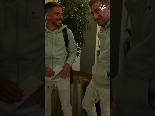 Vídeo relacionado con SAFTA Real Betis BALOMPIÉ - Riñonera con Bolsillo Exterior, Ideal para Jóvenes y Niños de Diferentes Edades, Cómoda y Versátil, Calidad y Resistencia, 23x9x12 cm, Color Verde
