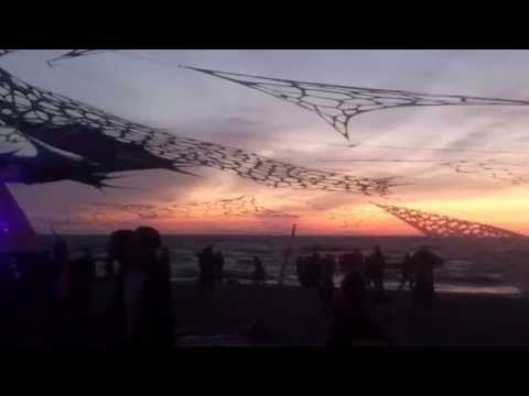 Psibindi @ Dharma Festival 2016