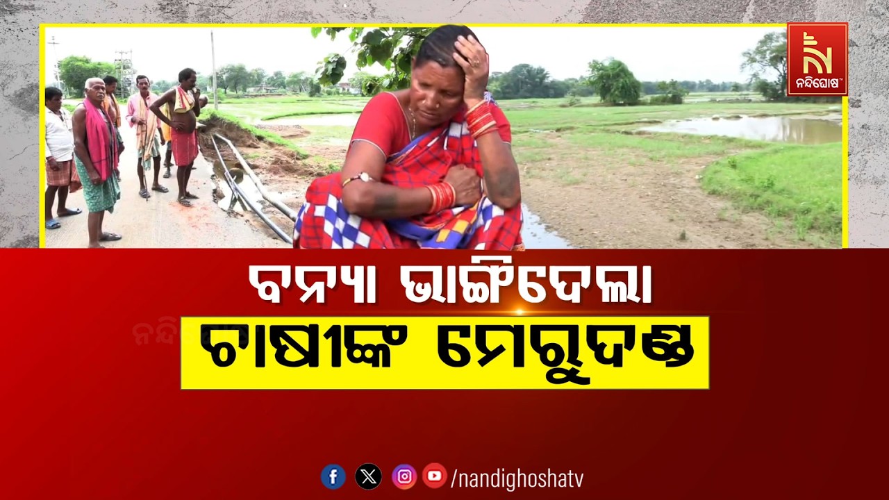 🔴Live | ବନ୍ୟା ଭାଙ୍ଗିଦେଲା ଚାଷୀଙ୍କ ମେରୁଦଣ୍ଡ | NandighoshaTV