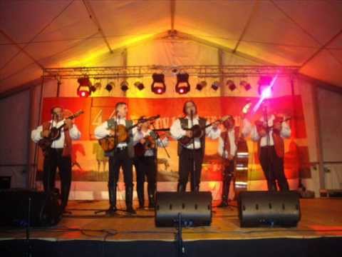 Najbolji hrvatski tamburaši - Tamburaši pokraj Dunava