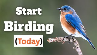 Download lagu Cara Memulai Pengamatan Burung (Meskipun Anda Tidak Mengenal Satu Burung Pun) mp3