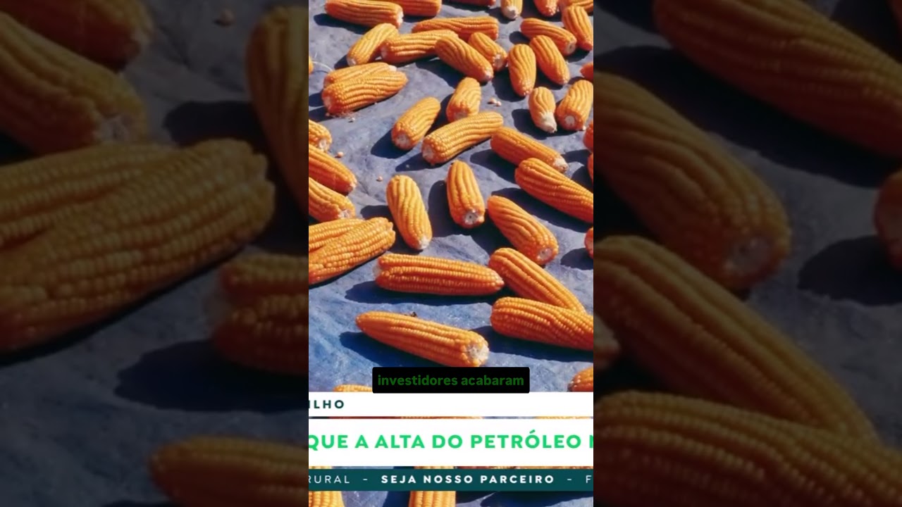 Soja: Por que os preços pararam de subir?