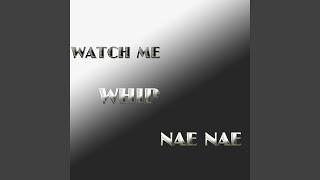 Watch Me Whip / Nae Nae Music Video