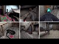Granny Horror Game Top 10 Funny Moments