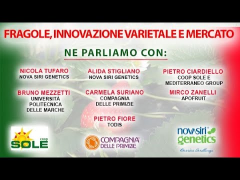, title : 'Fragole, innovazione varietale e mercato'