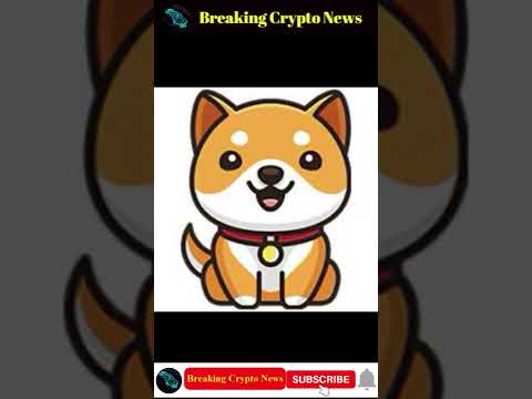 Breaking Crypto News | 12.6 Trillion Baby Doge Coin Burns