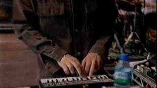 The Coral - In The Morning