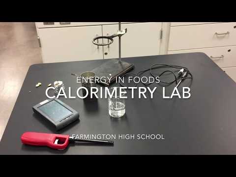 download lagu mp3 mp4 Yfood Labs, download lagu Yfood Labs gratis, unduh video klip Yfood Labs