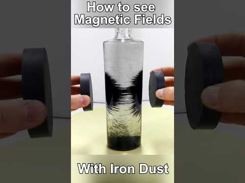 How to see Magnetic Fields with Iron Dust