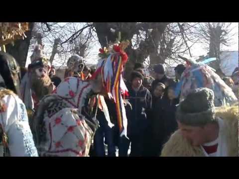 capra mogosesti siret 2012