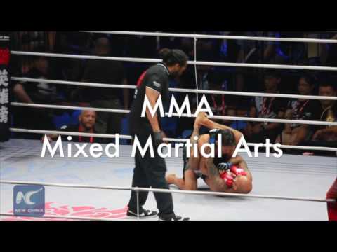 China's MMA "Art of War" tournament in Beijing