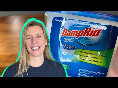 DampRid Moisture Absorber: Say Goodbye to Odors & Dampness!