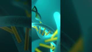 Unlock the Secrets of Your DNA! Quick Genetics Lesson #shorts #augxlabs