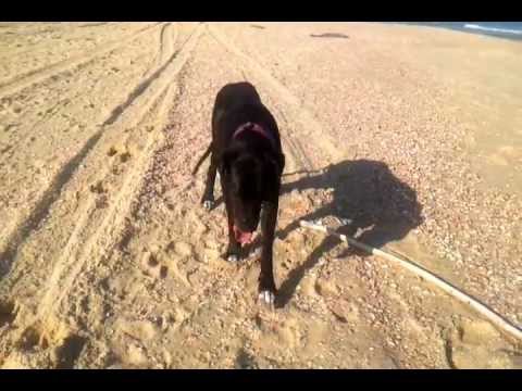 Nitzanim beach 1-6-2012