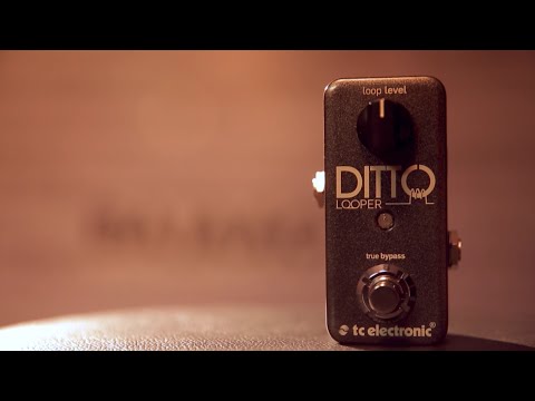 BAJAAO Select - TC Electronic Ditto Looper Review