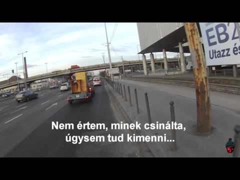 Gyökér buszsöfőr