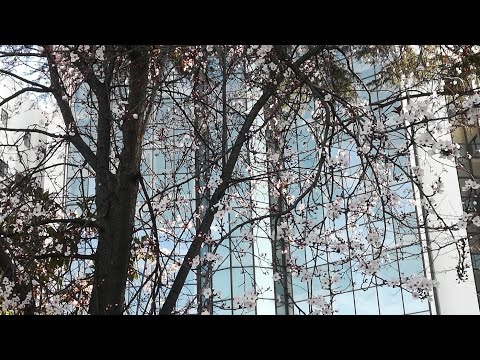 Universidade Nova de Lisboa - Entrecampos