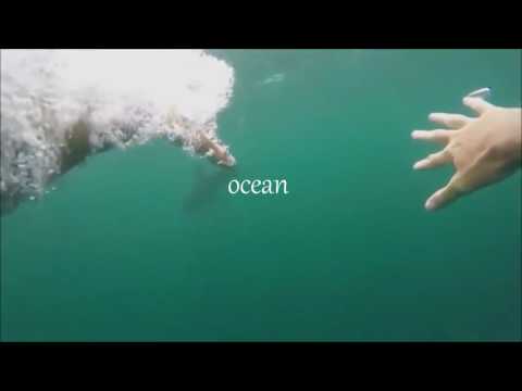 The Ocean: Mike Perry, Shy Martin. Unofficial Lyric Video
