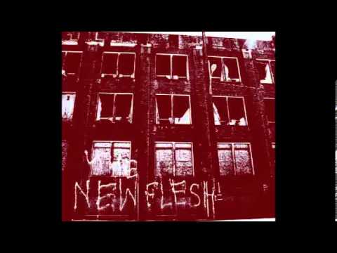 The New Flesh - Age Of Reason