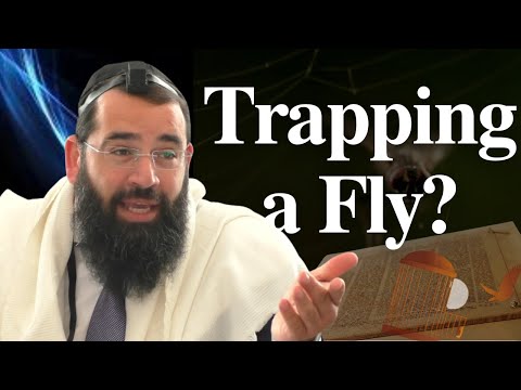 What Counts as Trapping on Shabbat?