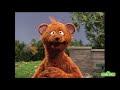 Sesame Street Baby Bear Sings How Do You Do