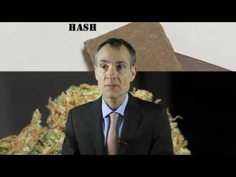 Media - Hash And Marijuana