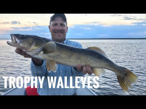 Manitoba Fly In Trophy Walleye Fishing