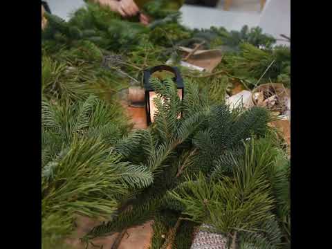 Play Video Youtube Video