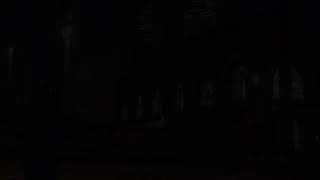PS4 GTA強盗募集