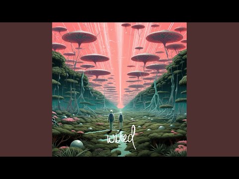 Won't Stop ft. Mr. V