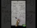 Mapping Or Function Types Of Mapping