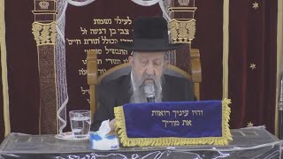 הרב בן ציון מוצפי בסוכות תשבו שבעת ימים ויהי בשלם סוכו ומעונתו בציון סודאי תשרי תשפ"ו (רבנים שונים) - התמונה מוצגת ישירות מתוך אתר האינטרנט יוטיוב. זכויות היוצרים בתמונה שייכות ליוצרה. קישור קרדיט למקור התוכן נמצא בתוך דף הסרטון הרב בן ציון מוצפי בסוכות תשבו שבעת ימים ויהי בשלם סוכו ומעונתו בציון סודאי תשרי תשפ"ו (רבנים שונים) - התמונה מוצגת ישירות מתוך אתר האינטרנט יוטיוב. זכויות היוצרים בתמונה שייכות ליוצרה. קישור קרדיט למקור התוכן נמצא בתוך דף הסרטון