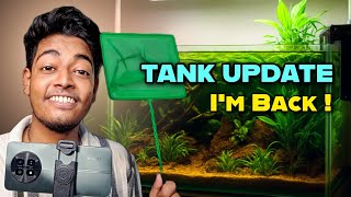 Massive Planted Tank Update After a Break - See What's New !