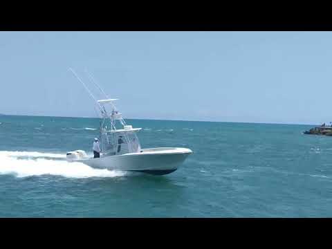 Miami Live Video #584