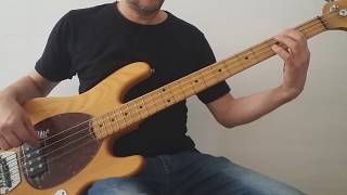 Crash Course In Brain Surgery - Bass Cover &amp; Tablature