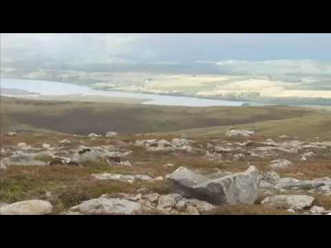 Roebuck stalking in Inverness-shire Roebuck stalking in Inverness-shire