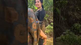 Download lagu Janda desa lagi asyik guyang🤣 #gadisdesa#top #comedy #foryou #funnyvideo #shortvideo #youtubeshorts mp3