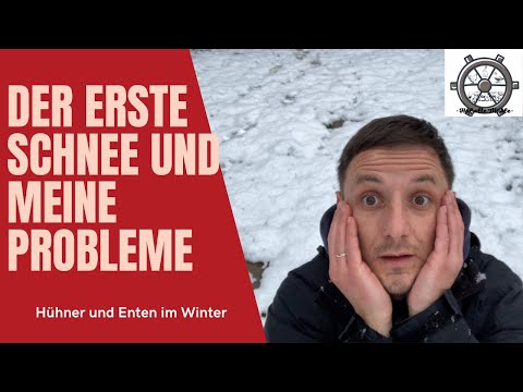 #12 Der erste Schnee und meine Probleme - Hühner im Winter
