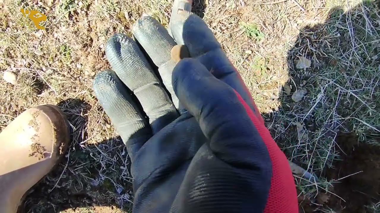 Bu gün çok soğuktu ❄🍃 #metaldetecting 