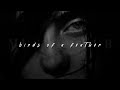 Billie Eilish BIRDS OF A FEATHER Slowed Reverb