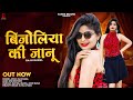 Bijoliya Ki Janu बीजोलिया की जानु New Dj Song Raju Rawal New Rajasthani 