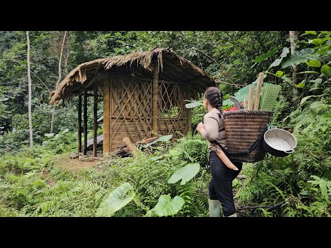 Full video: Little girl lost deep in the woods seeks shelter in an abandoned house.