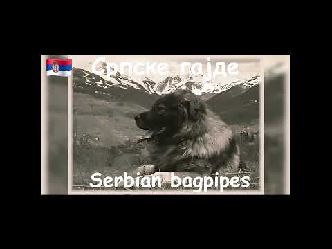 Српске гајде (Serbian bagpipes): Десимир Николић - Пшенице су класале, Градашница 1977. год.