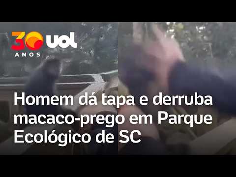 Homem dá tapa em macaco-prego no Parque Ecológico de Santa Catarina