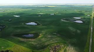 7 Quarters of Productive Farmland in the RM of Lipton # 217 Near Dysart, SK!